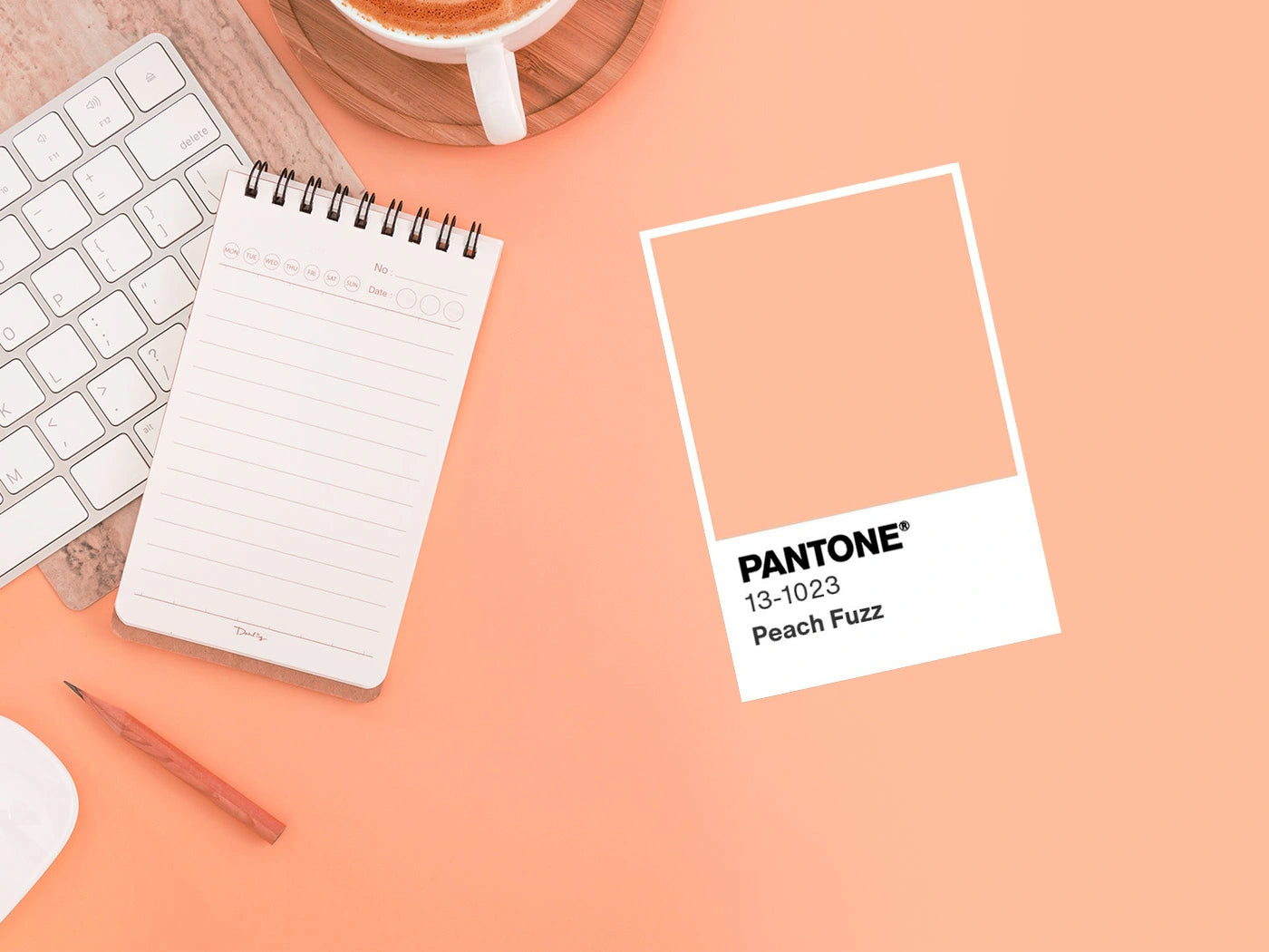 Peach Fuzz, il Colore Pantone del 2024: l'eleganza gentile nei tuoi spazi di lavoro