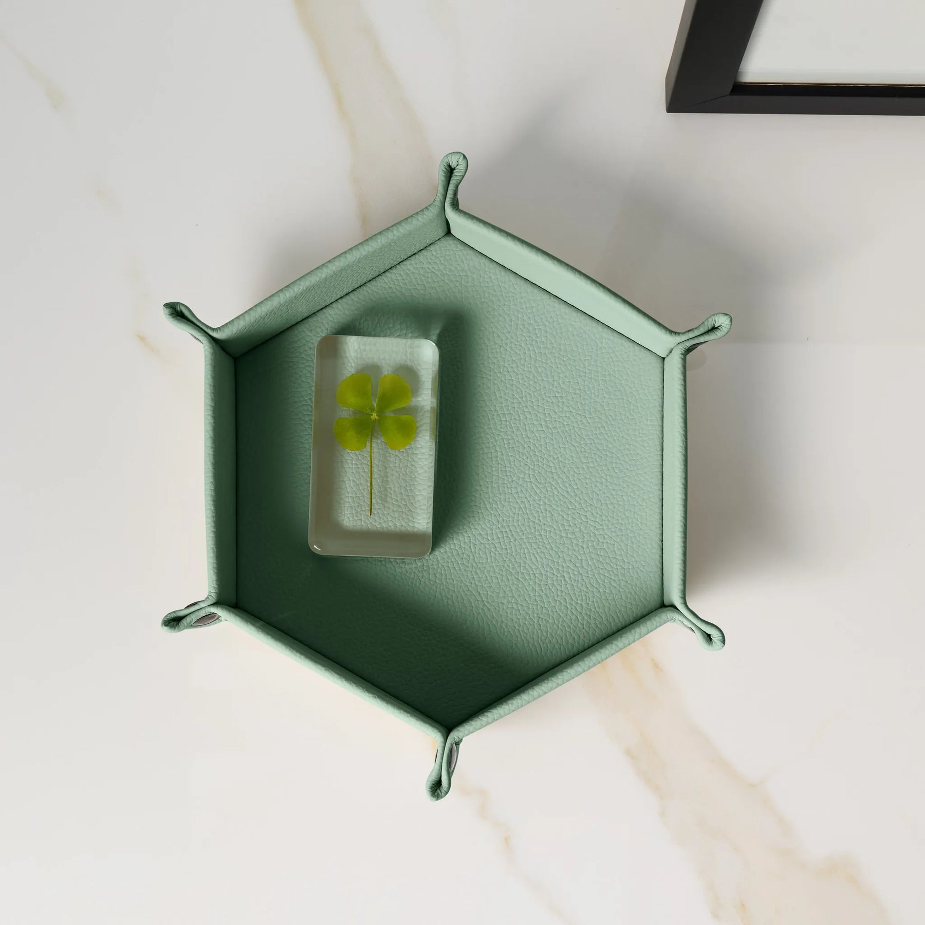 Taschenleerer Iris Sechseckiger